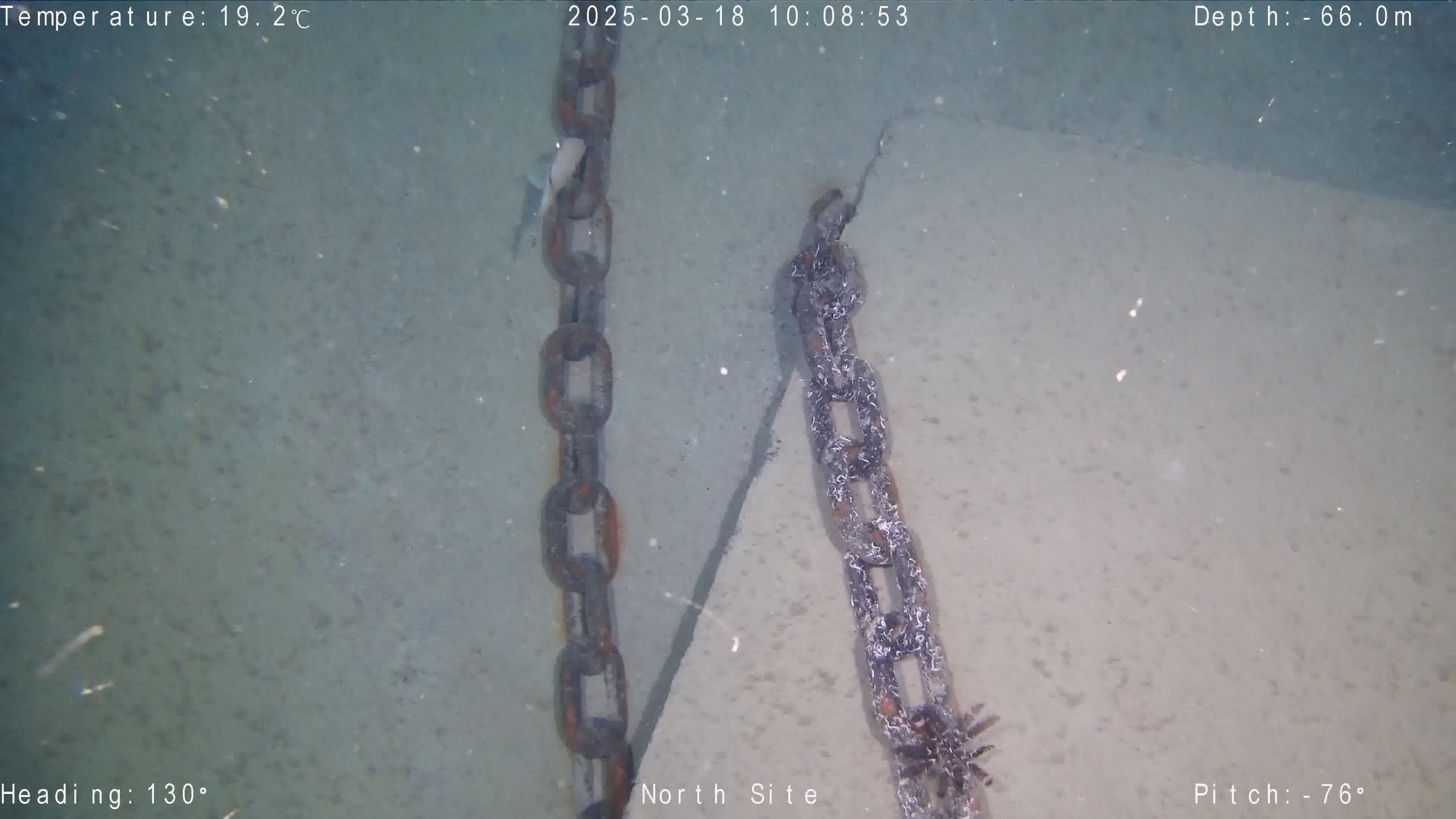 Underwater chain sample 3